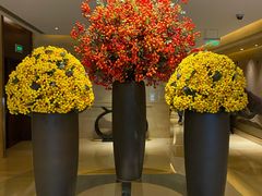 -长沙芙蓉国温德姆至尊豪廷大酒店 - 自助餐厅
