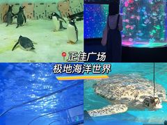 -小西家作•精致蛋糕(富力爱丁堡店)