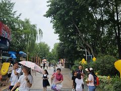 -成都欢乐谷