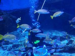 -海合安武汉极地海洋公园