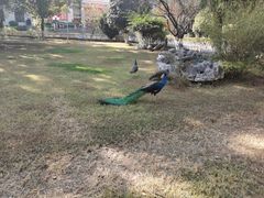 -西昌邛海宾馆