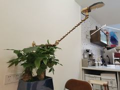 大堂-Jeans Coffee牛仔裤咖啡
