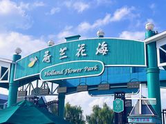 -荷兰花海