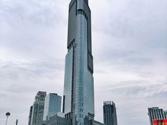 -紫峰大厦