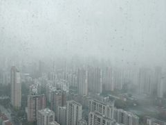 -环球港凯悦 · 享悦中餐厅