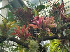 -国家植物园南园