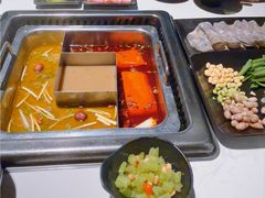 -鼎膳常火锅(华阳店)