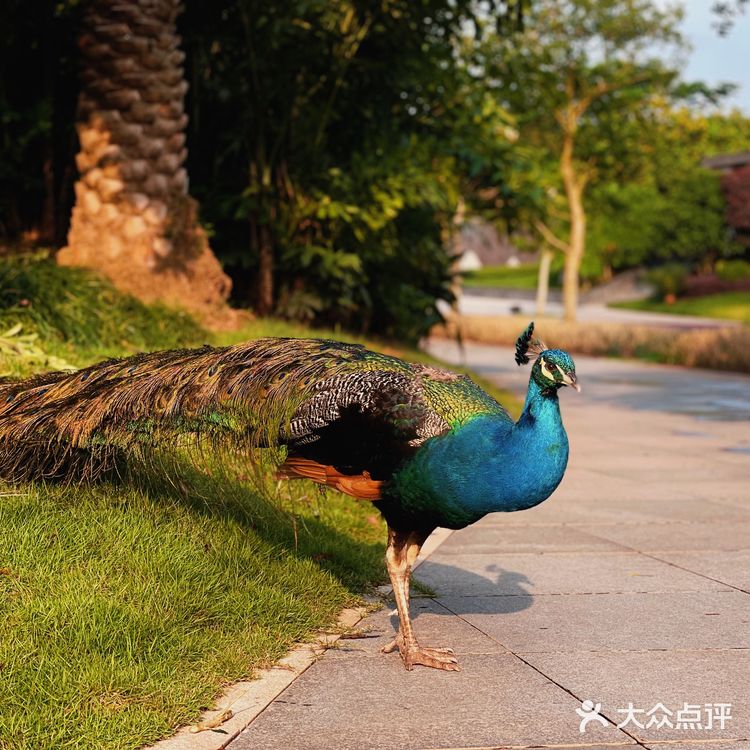 南宁不去后悔一辈子的景点