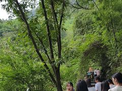 -藏龙百瀑风景区