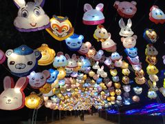 -沈阳奥体冰雪嘉年华