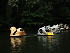 -维乐口腔医院(星海湾分院)