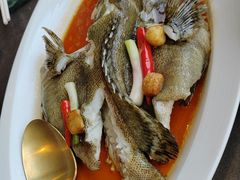 -南海渔村·徐博馆(琶洲店-粤菜养生宴)