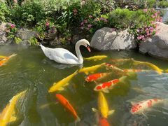 -罗红摄影艺术馆