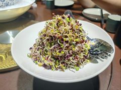 -天天鱼港·海鲜·鲅鱼水饺·招牌烤鸭(黄骅店)