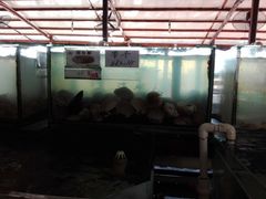 -海上驿站渔家菜馆