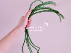 豇豆-地利生鲜(万科明天广场店)