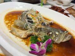 -扬浦大酒楼(平顶山路店)