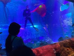 -沈阳海洋探索中心