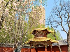 -护国法轮寺