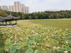 -高子水居