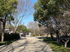 -西溪国家湿地公园