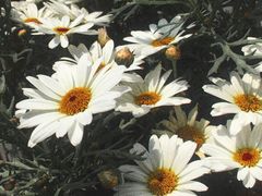-慢隅法式小馆·生日求婚西餐厅