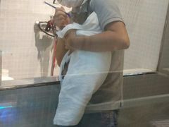 -PETKIT 小佩宠物·低压洗护·美容·寄养(安远店)