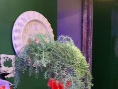 -足生堂·养生足道·SPA(金贸大街店)