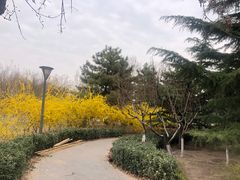 -大兴滨河森林公园