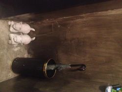 点击看大图 环境5-3AM HAIR SALON烫发染发接发