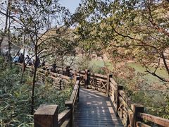 -白马涧龙池景区
