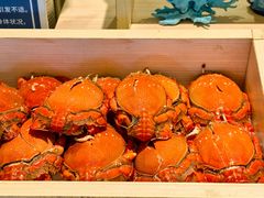 -大中华希尔顿酒店-念自助餐·海南美食·三文鱼