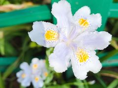 -花溪公园