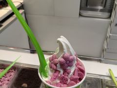 -Salud撒露欧洲冻酸奶(蓝色港湾店)