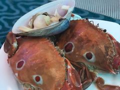 -瑞德姆美人鱼海底演艺主题餐厅(亚龙湾店)