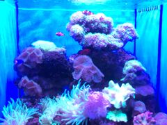 -多彩贵州城极地海洋世界