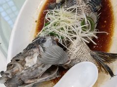 -海宝酒家(中山四路店)