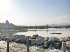 -永定河休闲森林公园