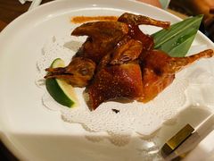 烤乳鸽-大树餐厅(益田假日店)