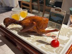 -大鸽饭(动物园店)