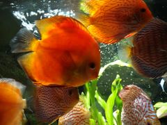 -上海海洋水族馆