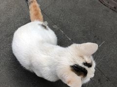 -凡德艺术街区
