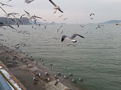 -威高广场
