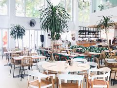 -Cha Cha's Beach Cafe