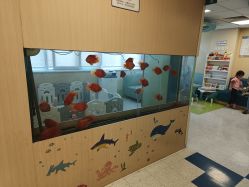 -杭州贝瑞斯美华妇儿医院·早孕·产检·儿科