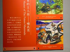 -大连自然博物馆