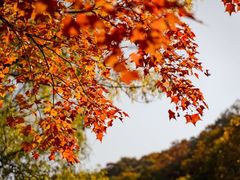 -洛阳白云山景区