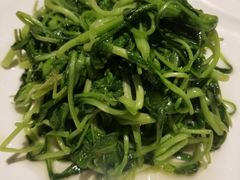 -19号私房菜(云南路店)