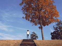 -上海辰山植物园