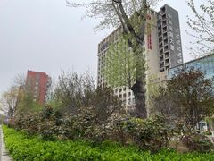 -五道口(地铁站)